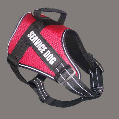Custom Pet harness